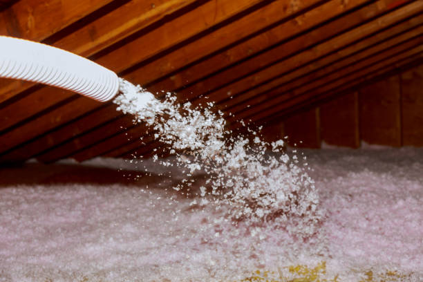 Best Insulation Maintenance and Repair in West Valley City, UT